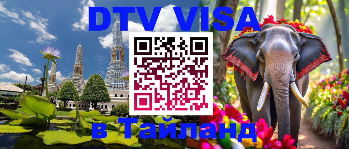 Сколько стоит DTV виза — актуальные цены, оформление даже без документов - 20.11.2025 